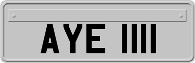 AYE1111