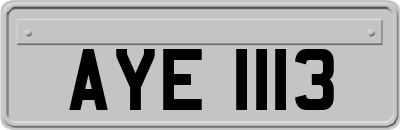 AYE1113