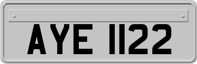 AYE1122