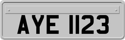 AYE1123