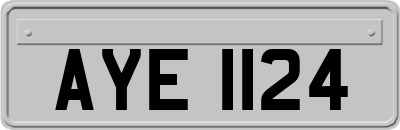 AYE1124