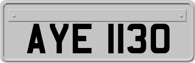 AYE1130
