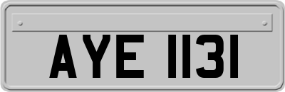 AYE1131