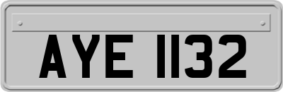 AYE1132