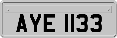AYE1133