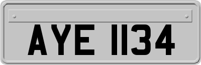 AYE1134