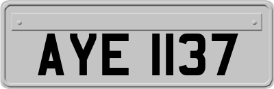 AYE1137