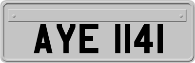 AYE1141