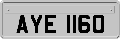 AYE1160