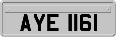 AYE1161