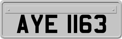 AYE1163