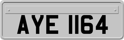 AYE1164