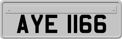 AYE1166