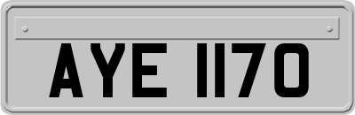 AYE1170