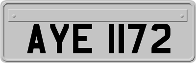 AYE1172
