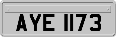 AYE1173