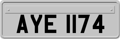 AYE1174