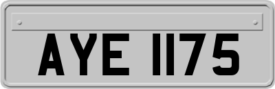 AYE1175