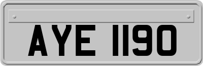AYE1190