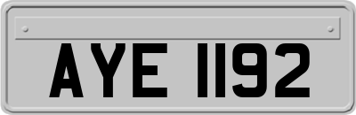 AYE1192
