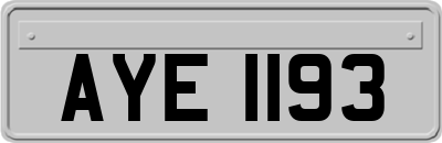 AYE1193
