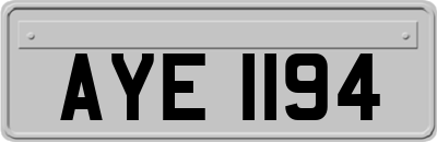 AYE1194