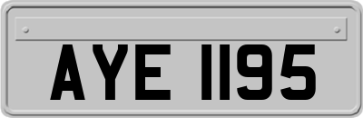 AYE1195