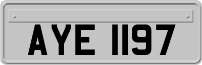 AYE1197