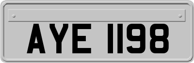 AYE1198