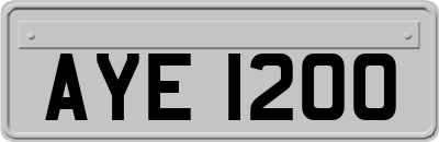 AYE1200
