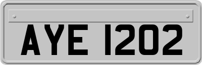 AYE1202