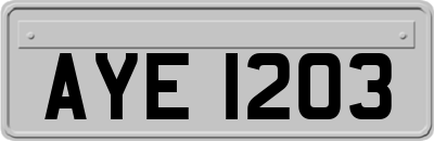 AYE1203