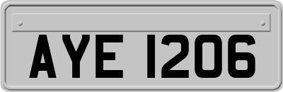 AYE1206