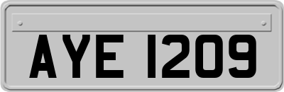 AYE1209