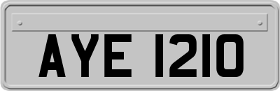 AYE1210