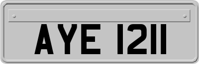 AYE1211
