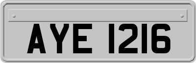AYE1216