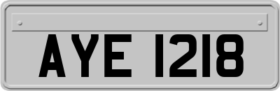 AYE1218