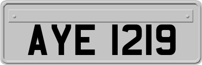 AYE1219