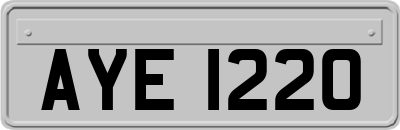 AYE1220