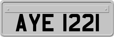 AYE1221