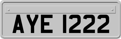 AYE1222