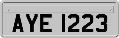 AYE1223