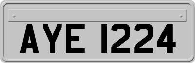AYE1224