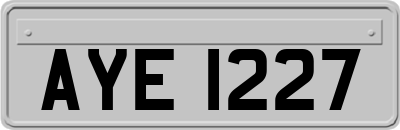 AYE1227