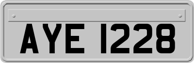 AYE1228