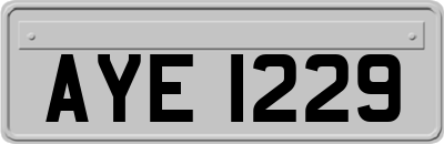 AYE1229