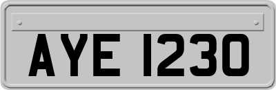 AYE1230