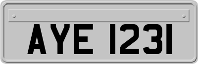 AYE1231