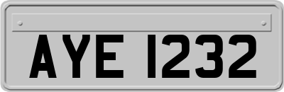 AYE1232